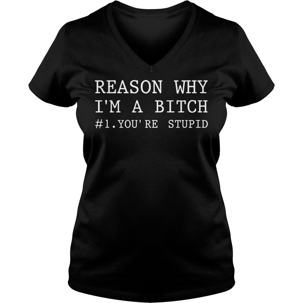 The Best Reason Why I'm A Bitch You're Stupid Shirt 4 The Best Reason Why I'm A Bitch You're Stupid Shirt Ladies V-Neck