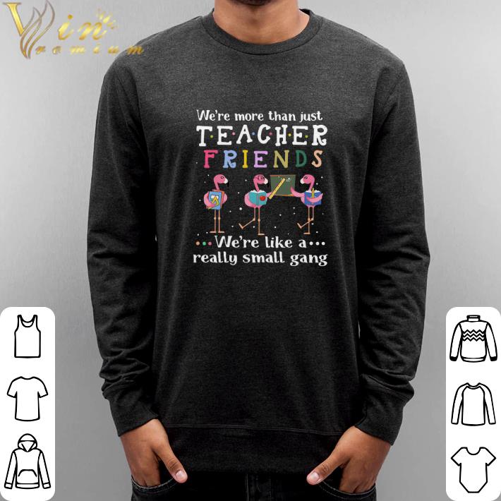 Funny Flamingos we're more than just teacher friends we're like a shirt 2 Funny Flamingos we're more than just teacher friends we're like a shirt