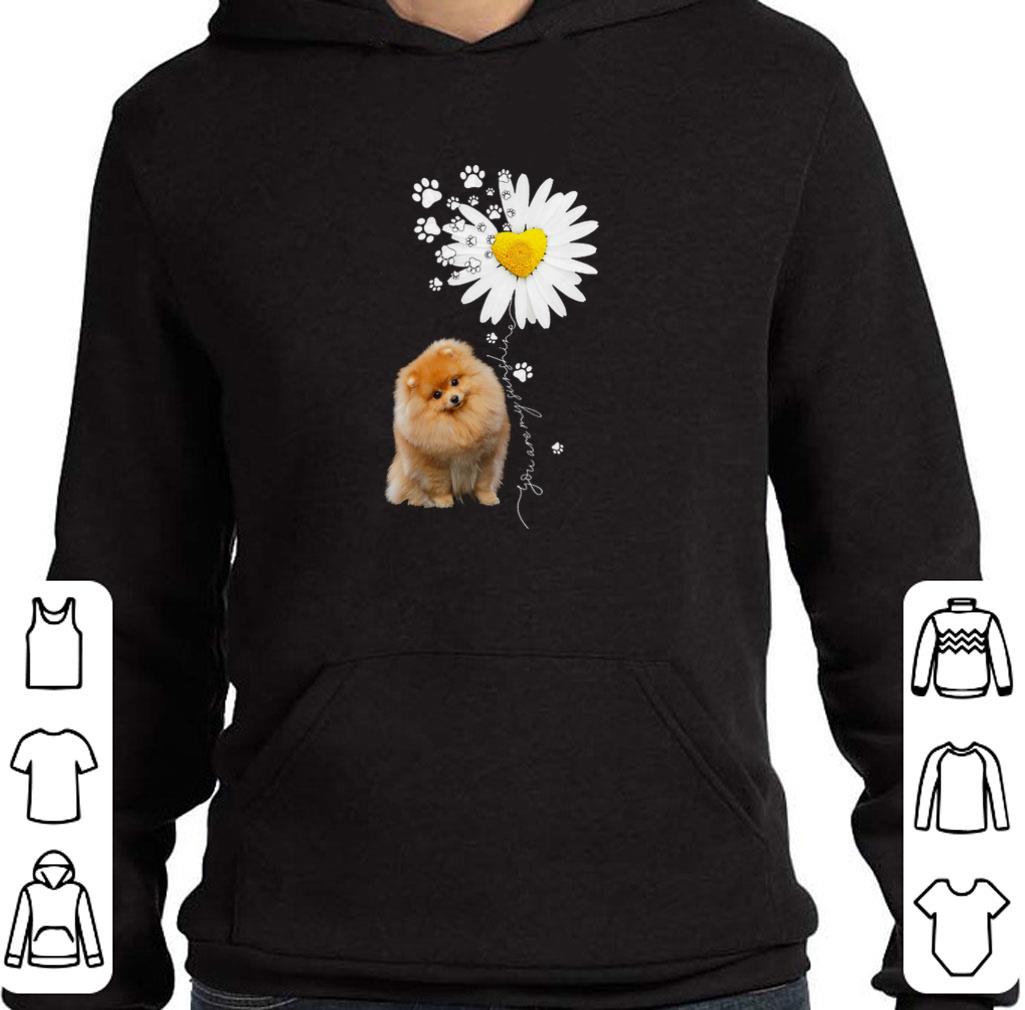 Hot Paw Pomeranian Daisy flower you are my sunshine shirt 2 Hot Paw Pomeranian Daisy flower you are my sunshine shirt