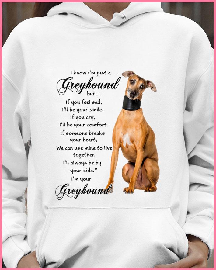 Best Greyhound If You Feel Sad I'll Be You Smile If You Cry I'll Be You Comfort shirt 2 Best Greyhound If You Feel Sad I'll Be You Smile If You Cry I'll Be You Comfort shirt