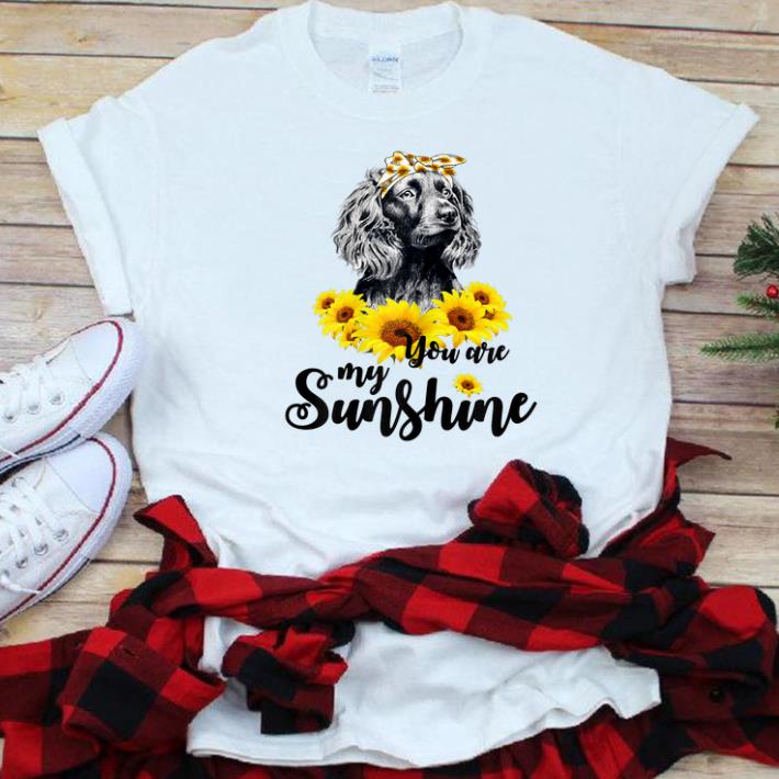 Original Boykin Spaniel You Are My Sunshine Sunflower shirt 1 - Original Boykin Spaniel You Are My Sunshine Sunflower shirt