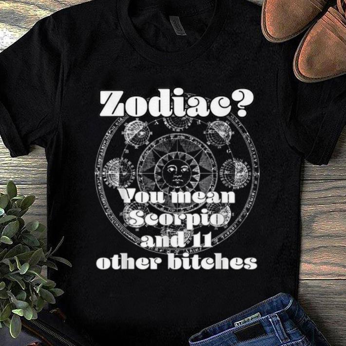 Premium Zodiac You mean Scorpio And 11 Other Bitches shirt 1 - Premium Zodiac You mean Scorpio And 11 Other Bitches shirt