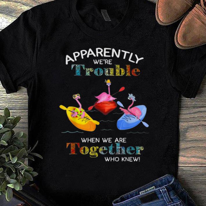 Official Apparently We re Trouble When We Are Together Who Knew Paddle Canoe Boat Flamingos shirts 1 - Official Apparently We're Trouble When We Are Together Who Knew Paddle Canoe Boat Flamingos shirts