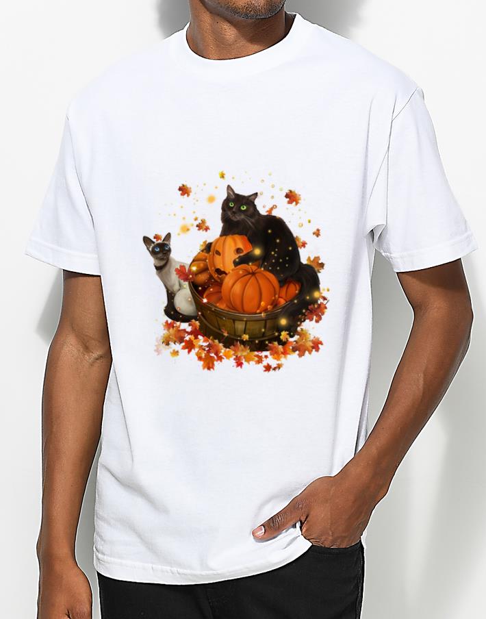 Awesome Cats Halloween Autumn shirt 4 - Awesome Cats Halloween Autumn shirt