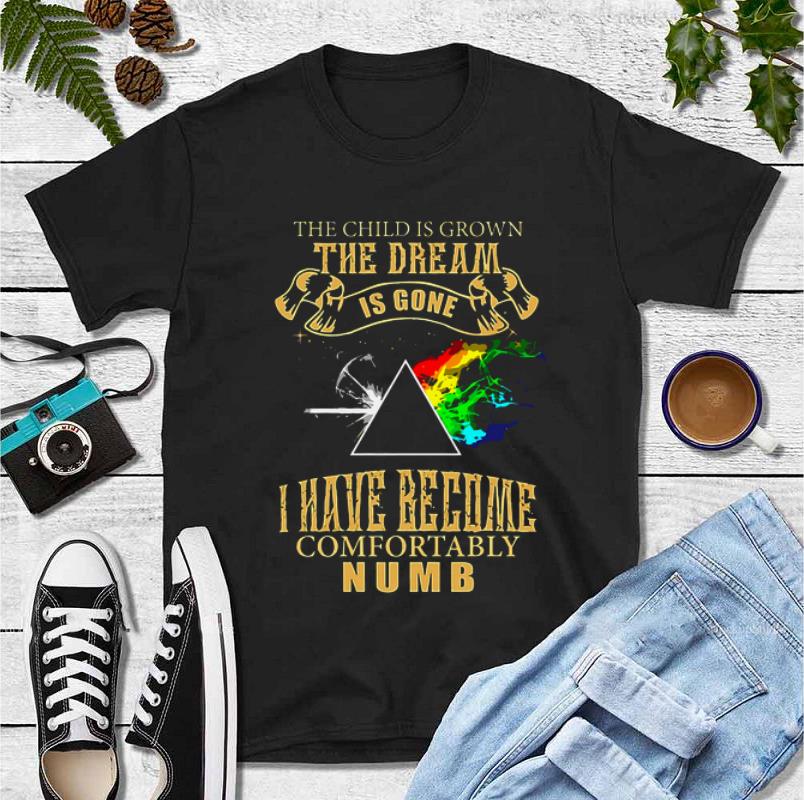 Hot The Child Is Grown The Dream Is Gone I Have Become Comfortably Numb Pink Floyd shirt 4 - Hot The Child Is Grown The Dream Is Gone I Have Become Comfortably Numb Pink Floyd shirt