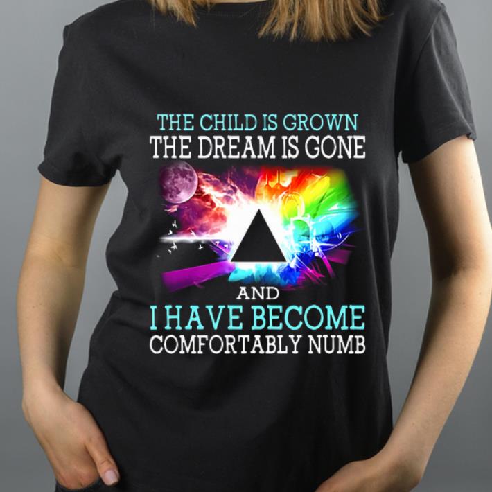 Nice The Child Is Grown The Dream Is Gone And I Have Become Comfortably Numb Pink Floyd shirt 4 - Nice The Child Is Grown The Dream Is Gone And I Have Become Comfortably Numb Pink Floyd shirt