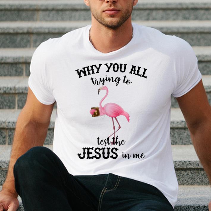 Nice Why You All Trying To Test The Jesus In Me Flamingo shirt 4 - Nice Why You All Trying To Test The Jesus In Me Flamingo shirt