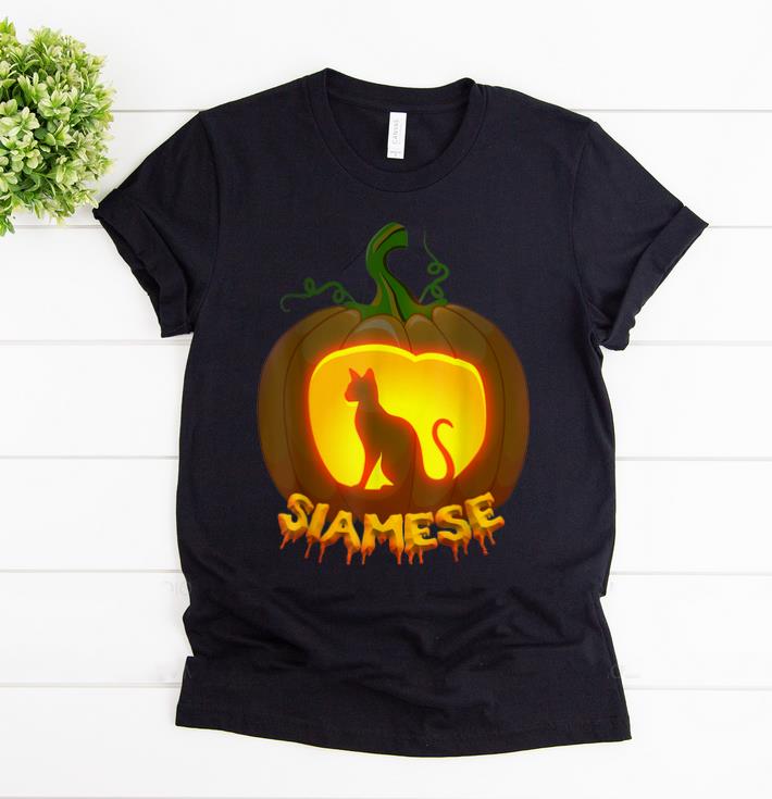 Pretty siamese Cat Pumpkin Halloween shirt 1 - Pretty siamese Cat Pumpkin Halloween shirt
