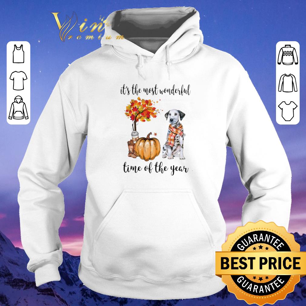 Awesome Dalmatian Pumpkin it s the most wonderful time of the year shirt sweater 4 - Awesome Dalmatian & Pumpkin it's the most wonderful time of the year shirt sweater