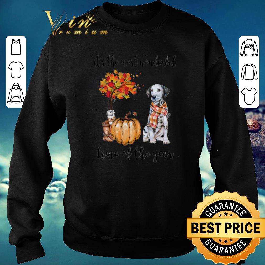 Original Dalmatian Pumpkin it s the most wonderful time of the year shirt sweater 2020 4 - Original Dalmatian & Pumpkin it's the most wonderful time of the year shirt sweater 2020