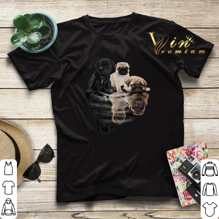 Pug dogs mirror water reflection shirt sweater 4 - Pug dogs mirror water reflection shirt sweater
