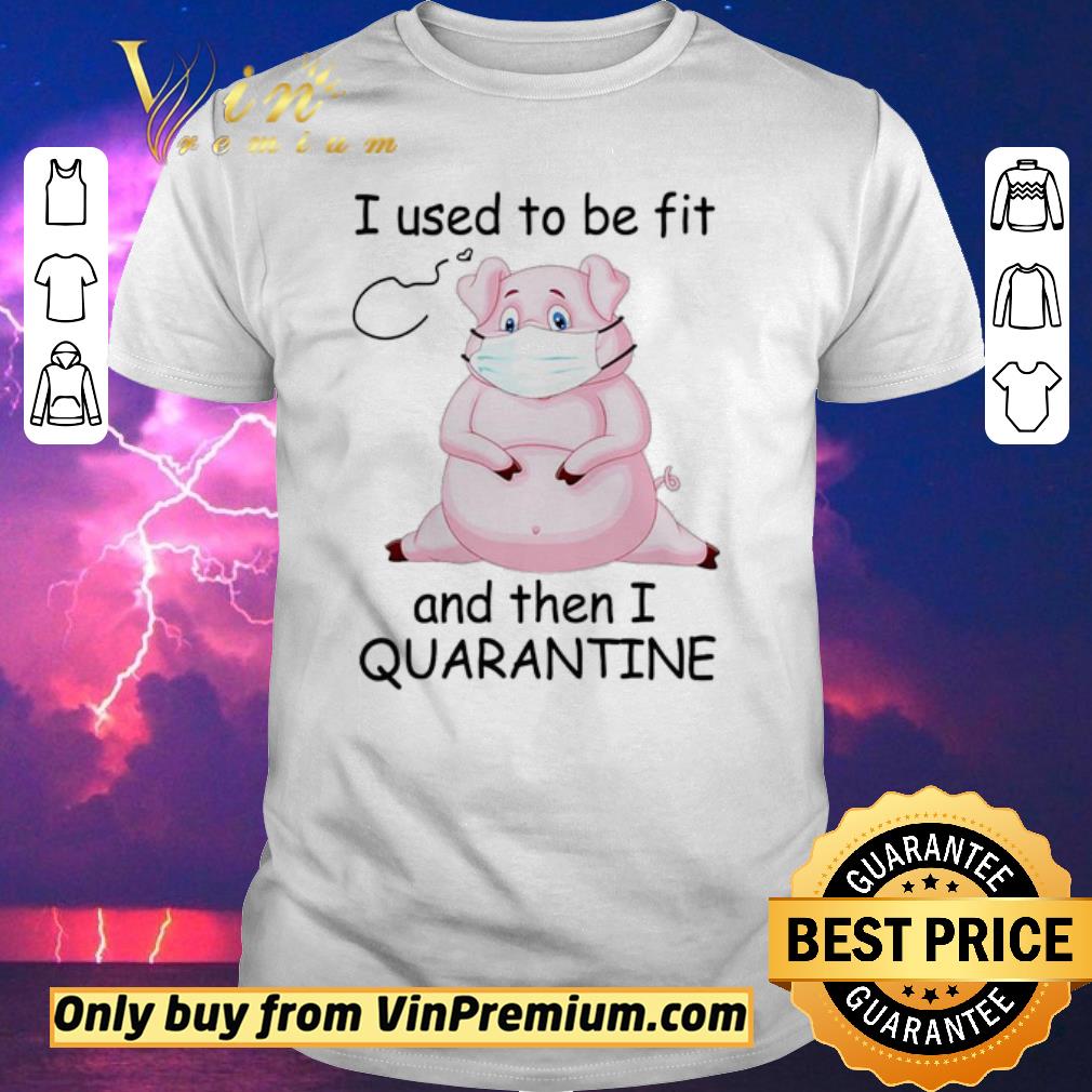 Funny Pig I used to be fit and then I quarantine shirt sweater