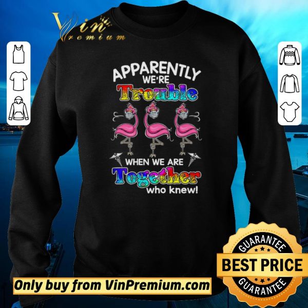 Hot Flamingo Apparently We're Trouble When We Are Together Who Knew Coronavirus shirt sweater