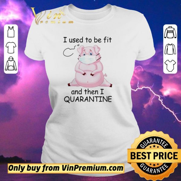 Funny Pig I used to be fit and then I quarantine shirt sweater