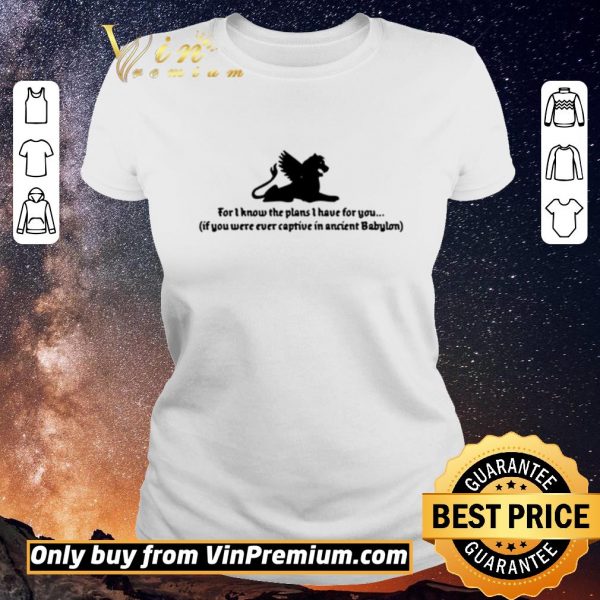 Original For I know the plans I have for you if you were ever captive shirt sweater