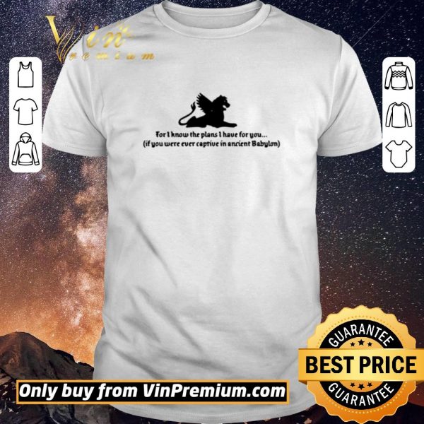 Original For I know the plans I have for you if you were ever captive shirt sweater