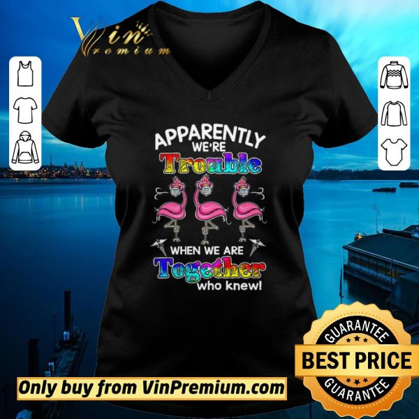 Hot Flamingo Apparently We're Trouble When We Are Together Who Knew Coronavirus shirt sweater