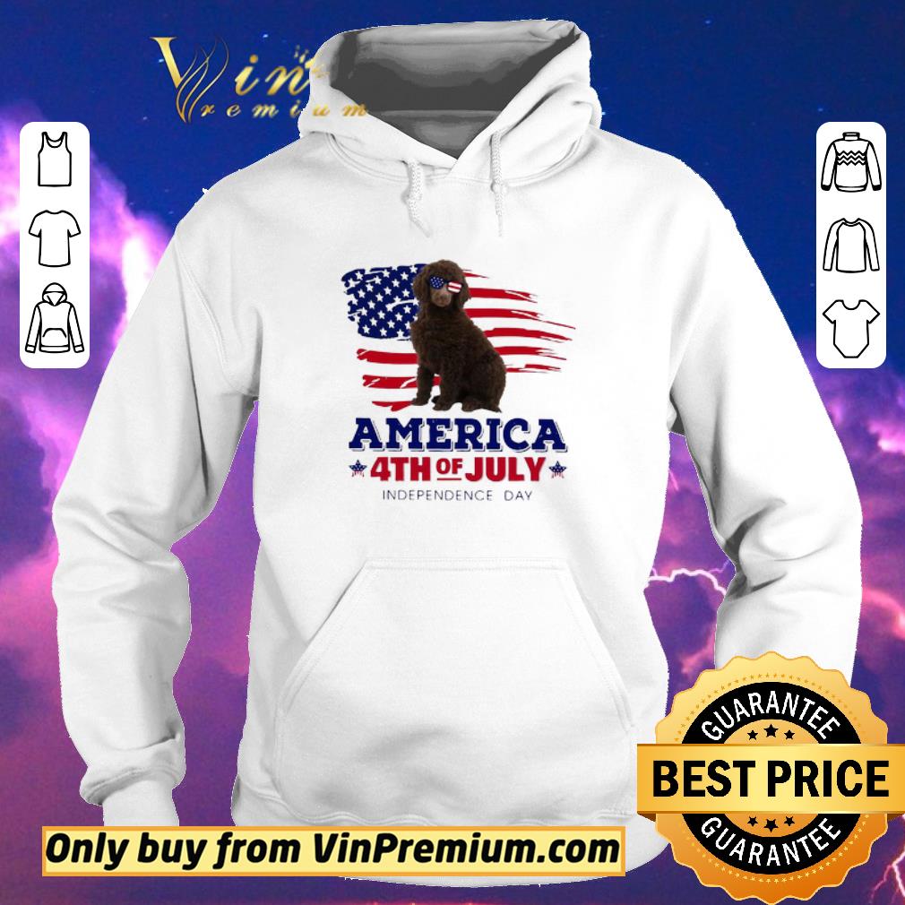 033d56ee pretty nice standard poodle america 4th of july independence day shirt sweater 4 - Pretty Nice Standard Poodle America 4th Of July Independence Day shirt sweater
