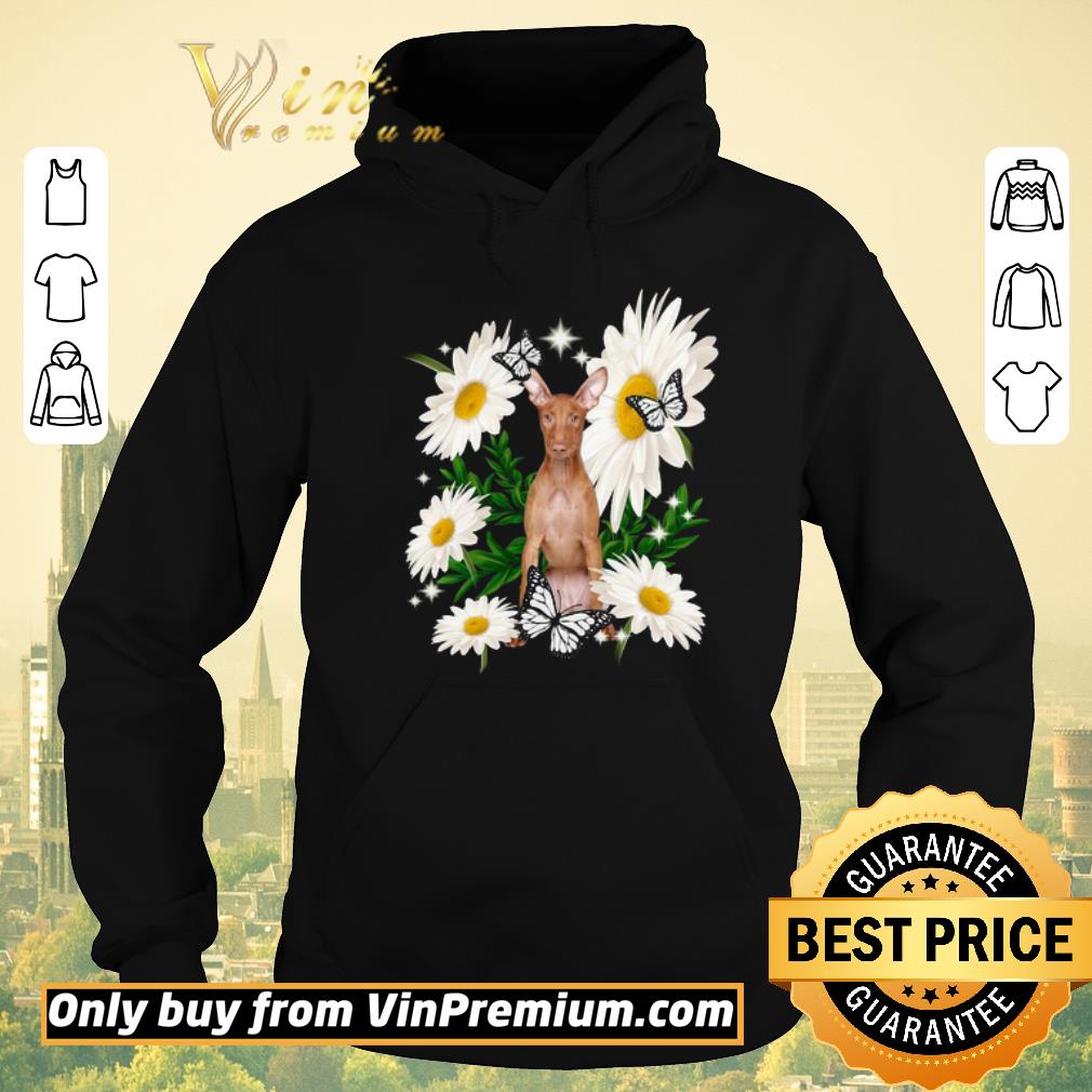 8b42bc3b awesome original pharaoh hound daisy flower classic shirt sweater 4 - Awesome Original Pharaoh-hound Daisy flower Classic shirt sweater