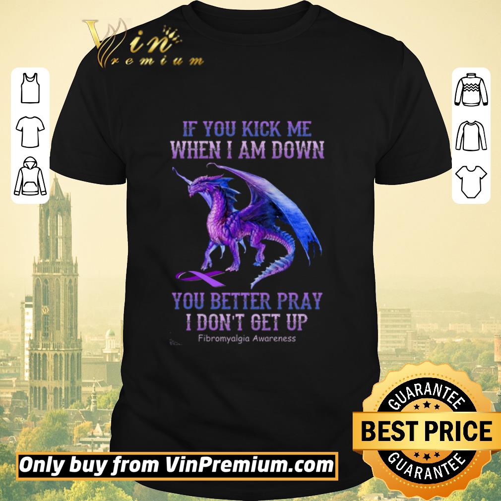 Funny Awesome Dragon Fibromyalgia Awareness If You Kick Me When I Am Down You Better shirt sweater