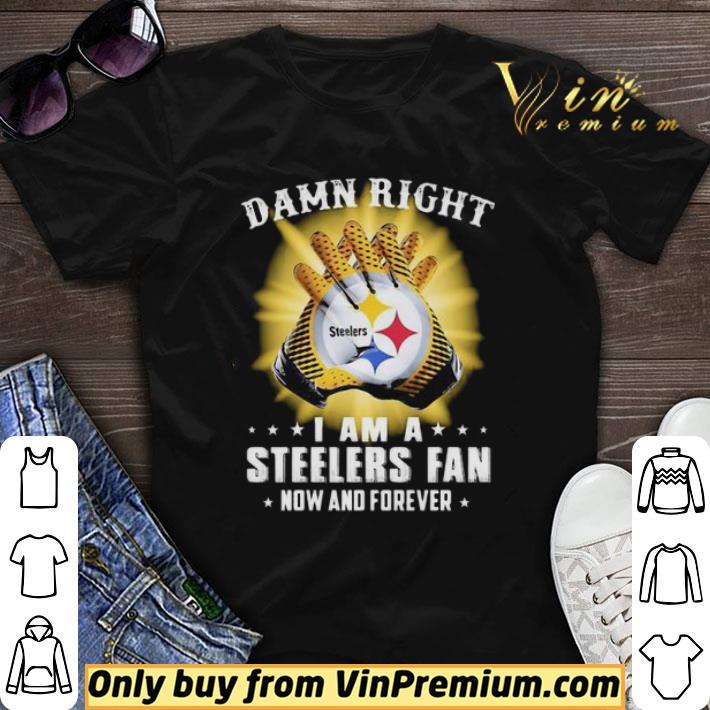 Damn right i am a steelers fan now and forever stars shirt sweater