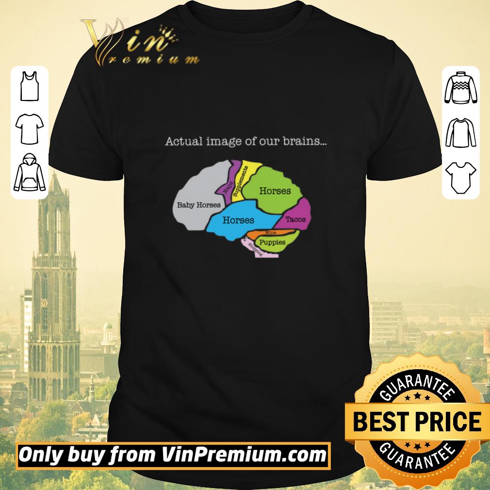 Funny Actual Image Of Our Brains Baby Horses Naps Supplements Horses Tacos Wine shirt sweater