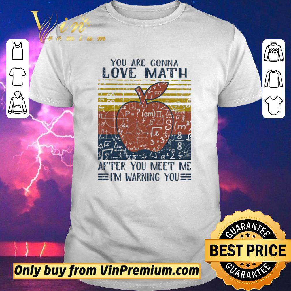 Nice You Are Conna Love Math After You Meet Me I’m Warning You Apple Vintage Retro shirt sweater
