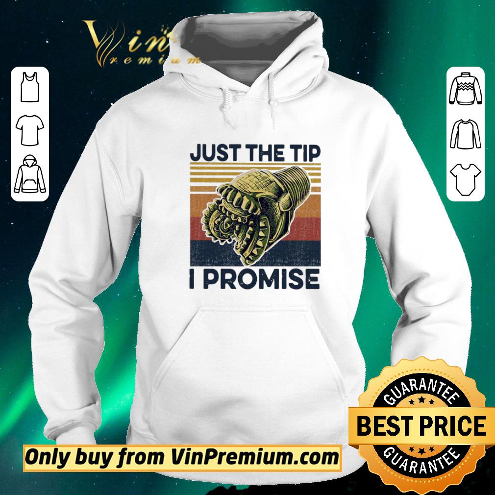 4c3fc528 pretty just the tip i promise vintage shirt sweater 4 - Pretty Just The Tip I Promise Vintage shirt sweater