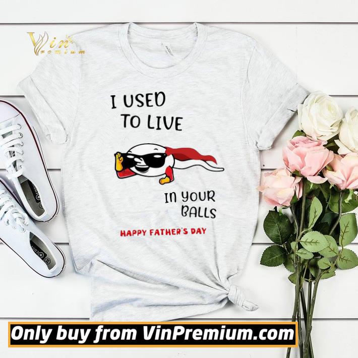 584cc003 i used to live in your balls happy father s day shirt sweater 4 - I Used To Live In Your Balls Happy Father’s Day shirt sweater