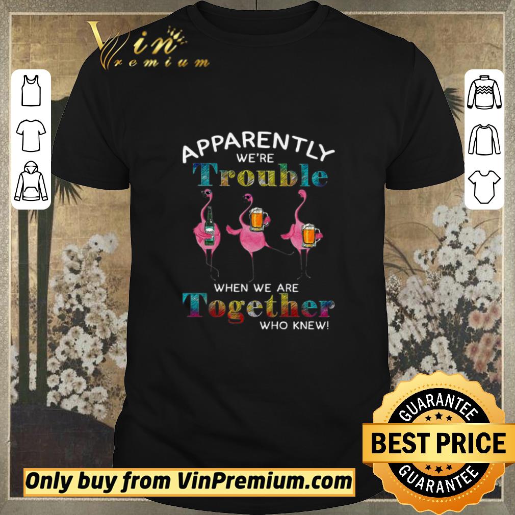 Nice Flamingos Apparently We're Trouble Beer When We Are Together Who Knew shirt sweater