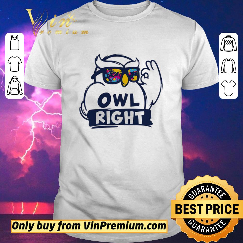 Funny Owl right colors water shirt sweater