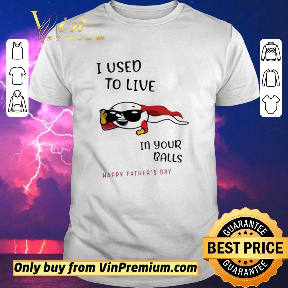 Nice I Used To Live In Your Balls Happy Father’s Day shirt sweater