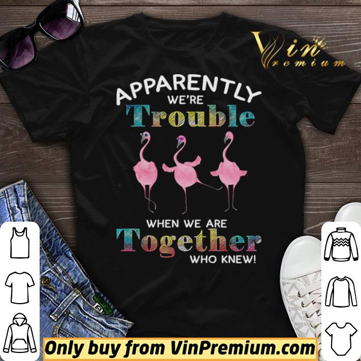 Flamingos apparently we’re trouble when we are together who shirt sweater