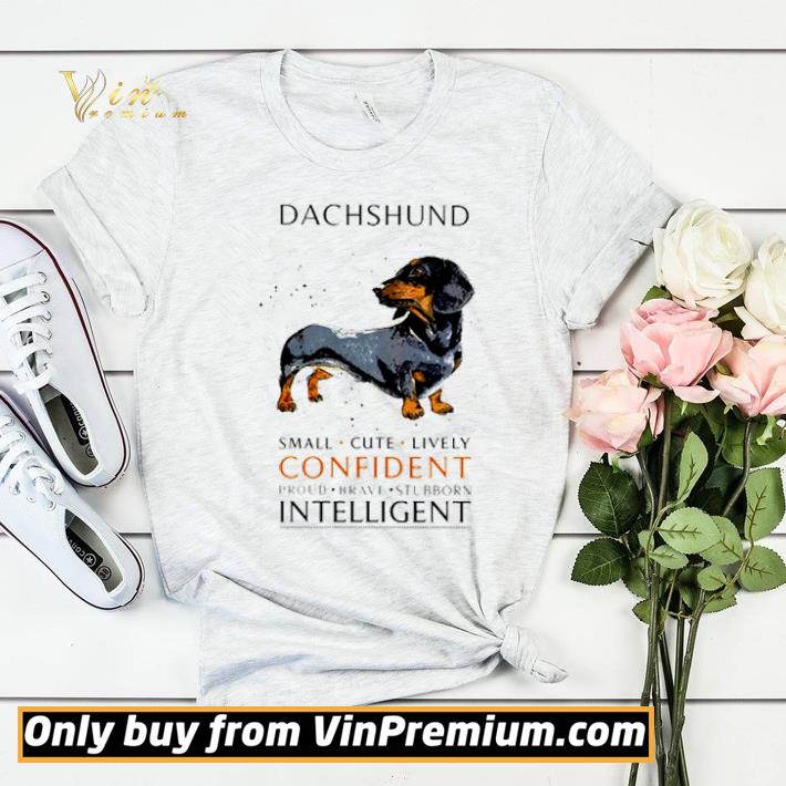 22e994e3 dachshund small cute lively confident intelligent shirt sweater 4 - Dachshund Small Cute Lively Confident Intelligent shirt sweater