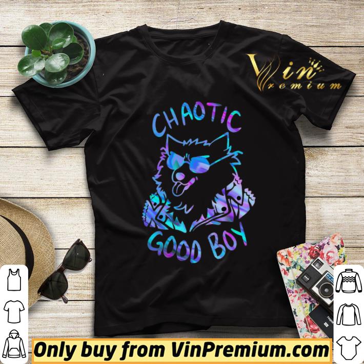 Chaotic Good Boy shirt sweater 3bd93ae9 chaotic good boy shirt sweater 4 - Chaotic Good Boy shirt sweater