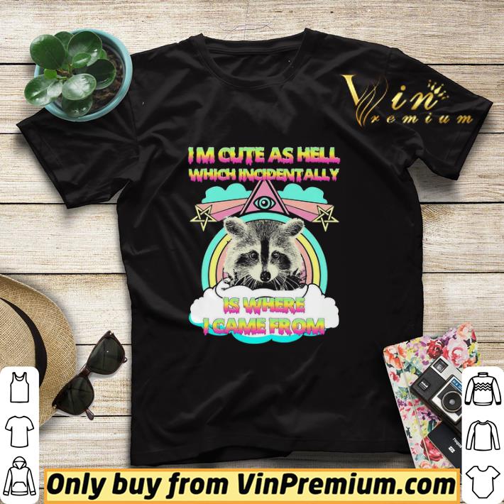 8ff7ed16 raccoon im cute as hell which incidentally is where i came from shirt sweater 4 - Raccoon Im cute as Hell which incidentally is where I came from shirt sweater