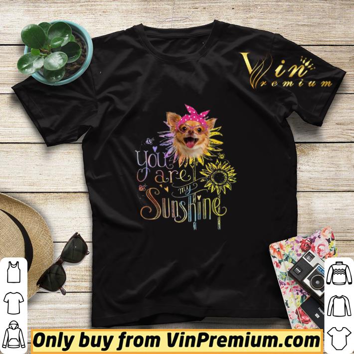 54852522 chihuahua sunflower you are my sunshine shirt sweater 4 - Chihuahua Sunflower You Are My Sunshine shirt sweater