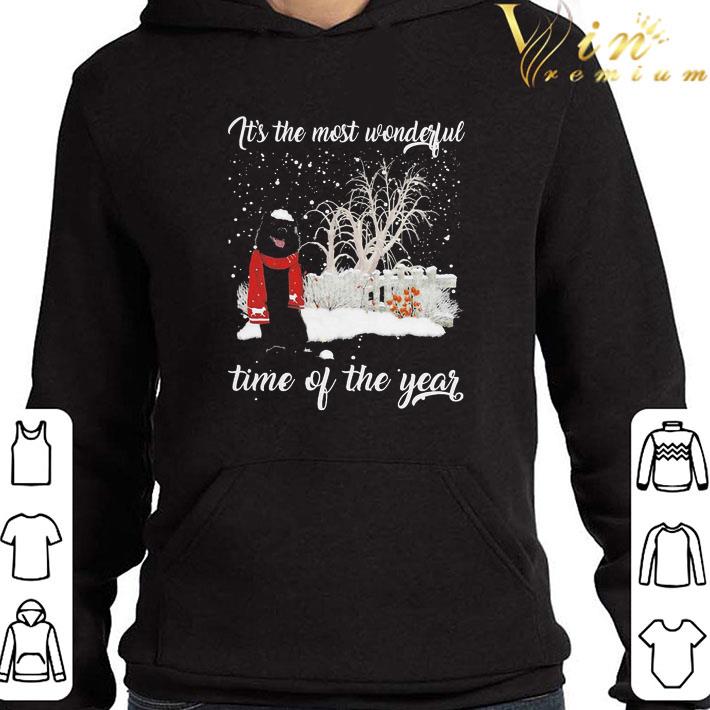 Schipperke it’s the most wonderful time of the year Christmas shirt