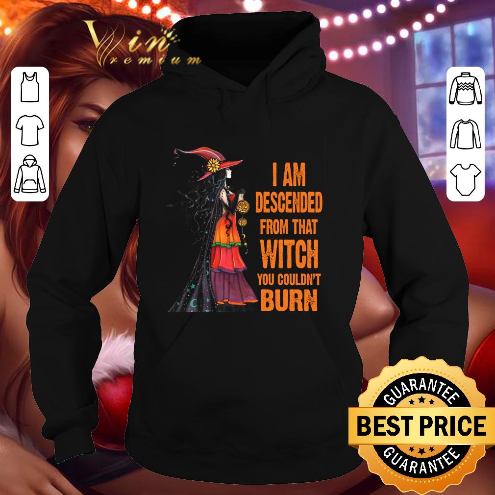 I am descended from that witch you couldn't burn halloween shirt 3 I am descended from that witch you couldn't burn halloween shirt