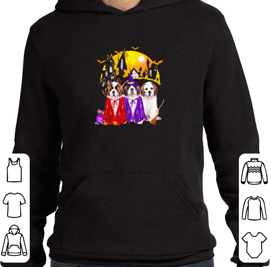 Saint Bernard Dog Halloween Witch Dog Lover shirt