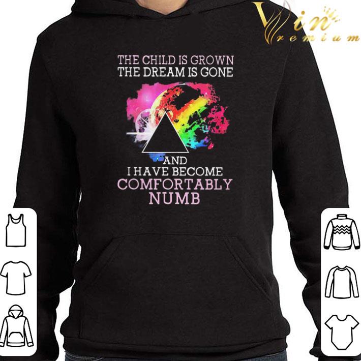 Pink Floyd The Child Is Grown The Dream Is Gone And I Have Become Comfortably Numb shirt