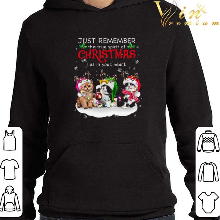 Cat Reindeer Just Remember The True Spirit Of Christmas Lies In Your Heart sweater
