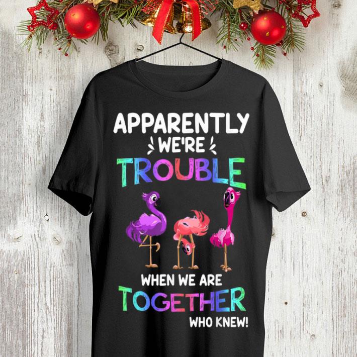 Apparently We're Trouble When We Are Together Parrot Flamingo shirt 8