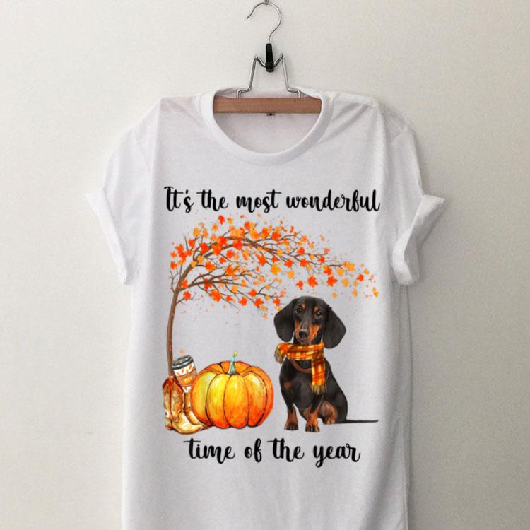 Dachshund Autumn It's The Most Wonderful Time Of The Year shirt 9