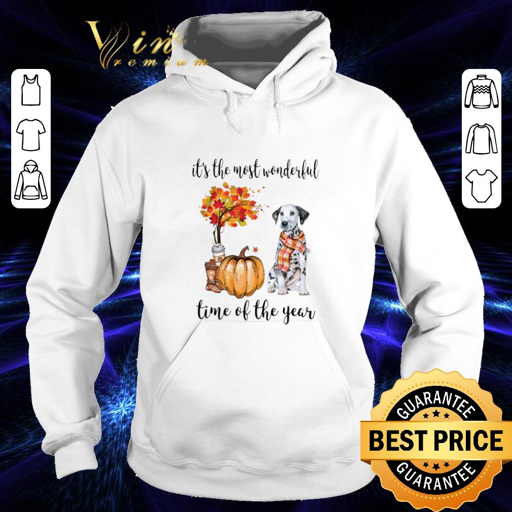 Hot Dalmatian & Pumpkin it's the most wonderful time of the year shirt