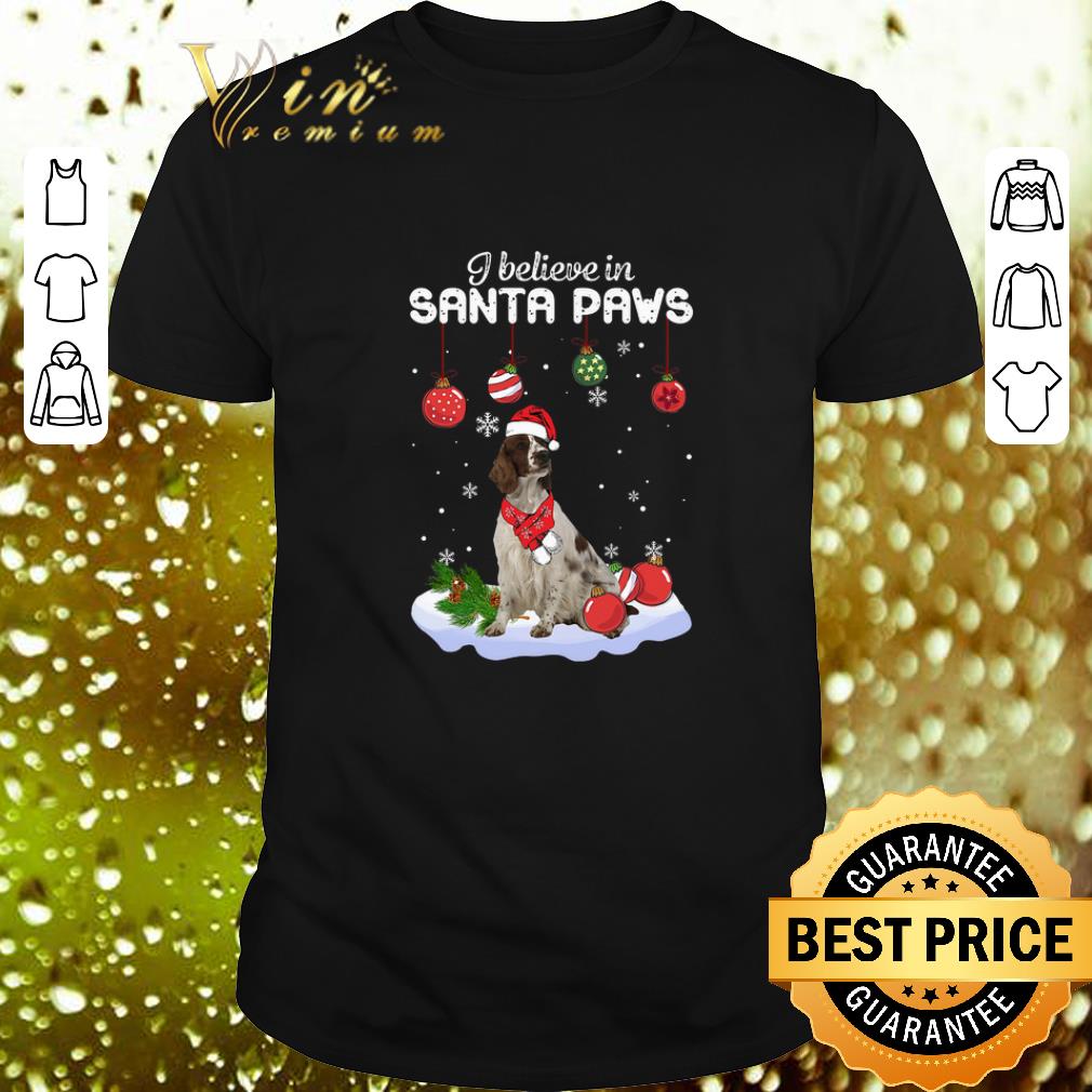 Top Irish Red and White Setter i believe in Santa paws Christmas shirt 8
