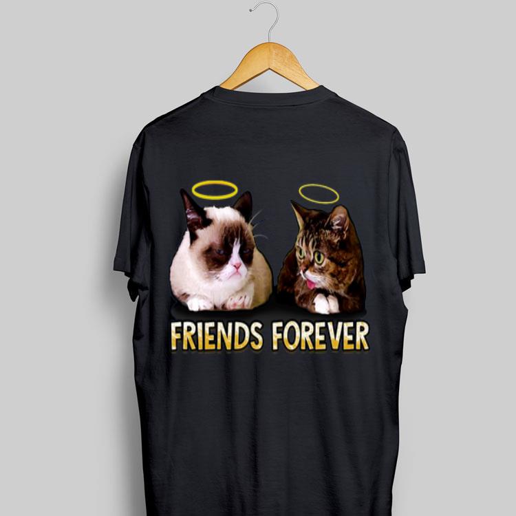 Grumpy and Lil Bub friends forever sweater 8