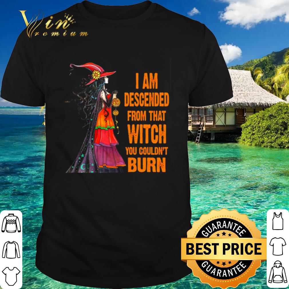 Pretty Witch I am descended from that witch you couldn’t burn shirt 7