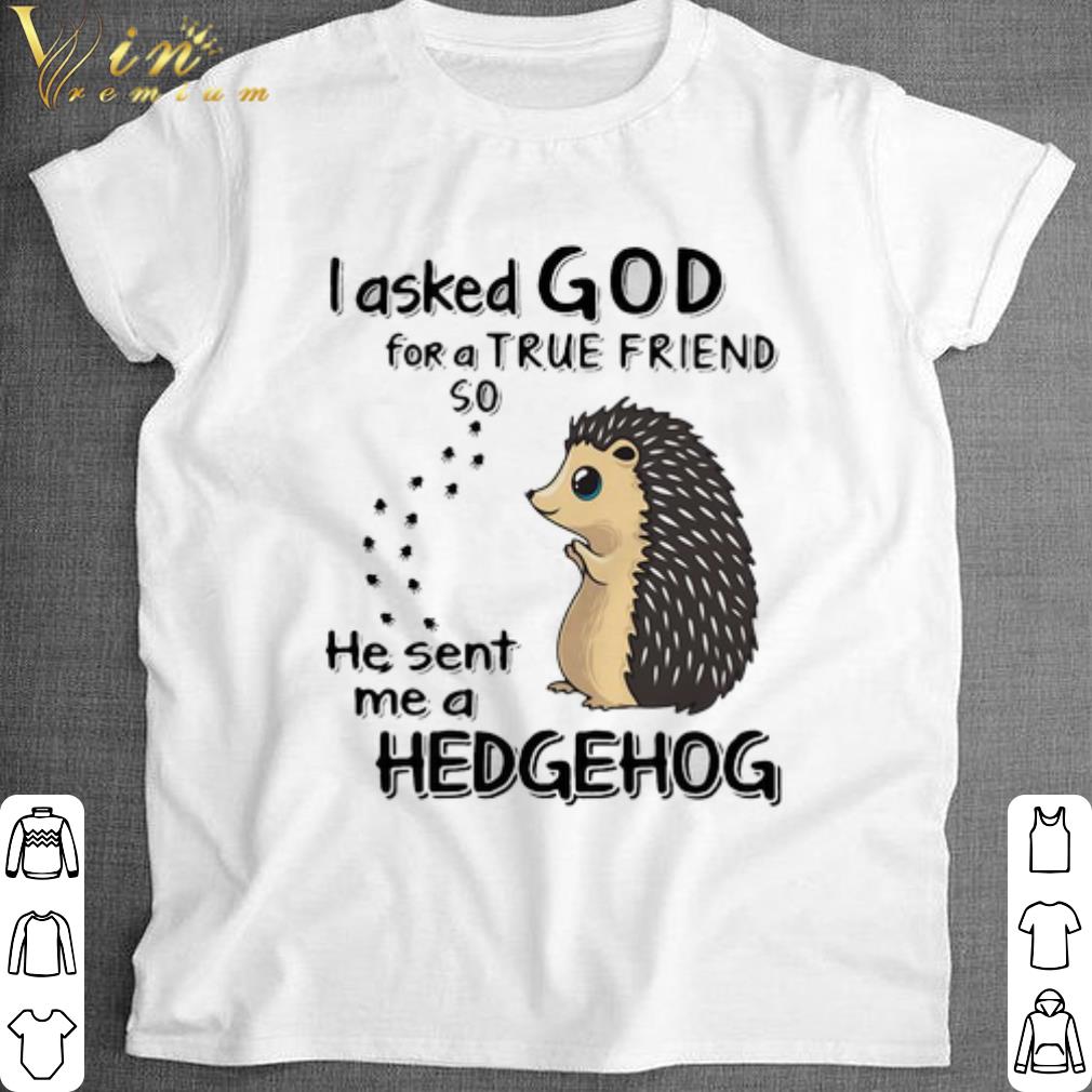 Premium I Asked God For A True Friend So He Sent Me A Hedgehog shirt 6