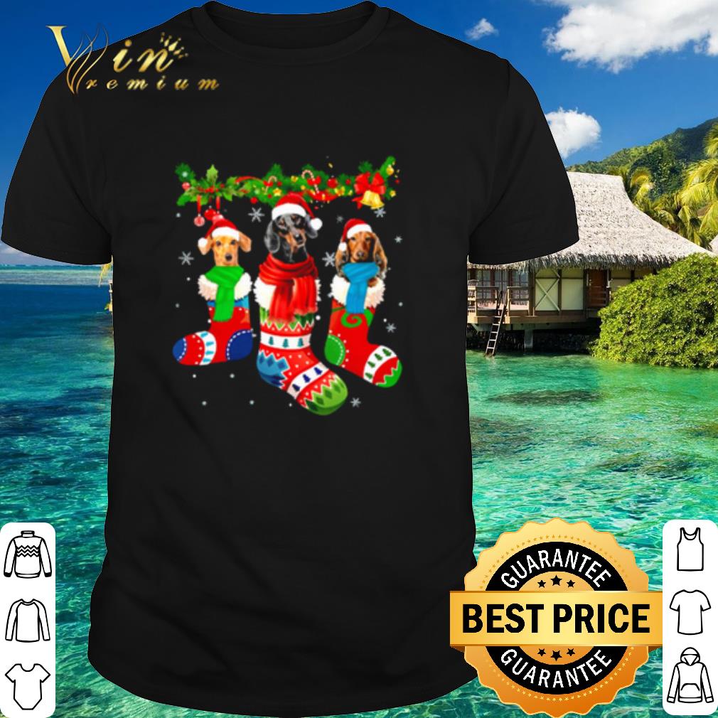 Pretty Dachshund in Christmas socks shirt 6